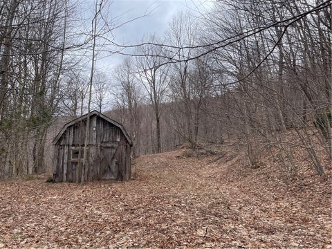 Vacant Land For Sale - 4-11 West Highland Road<br/> Stamford, NY 12167