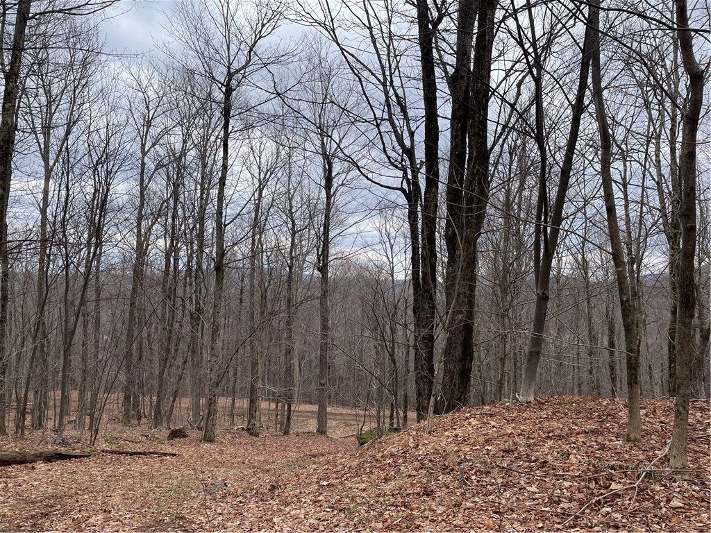 Photo of 4-11 West Highland Road, Stamford, NY 12167 (MLS # R1678553)