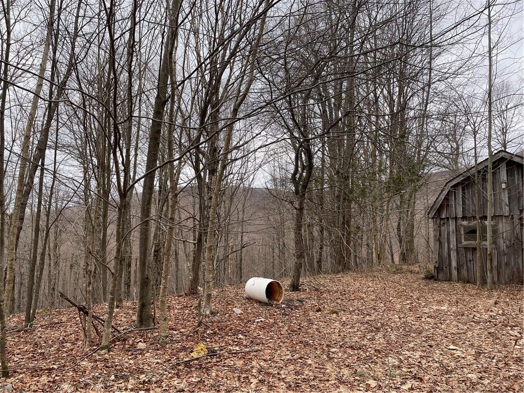 Photo of 4-11 West Highland Road, Stamford, NY 12167 (MLS # R1678553)