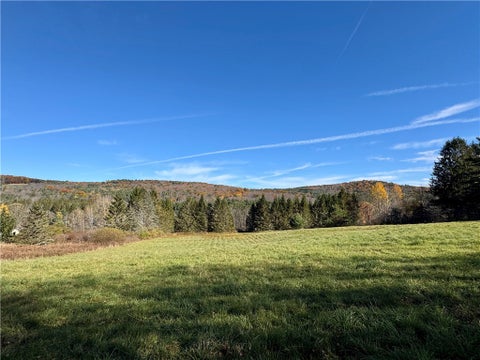 Photo of Wilber Lake Road, Oneonta, NY 13820 (MLS # R1724576)