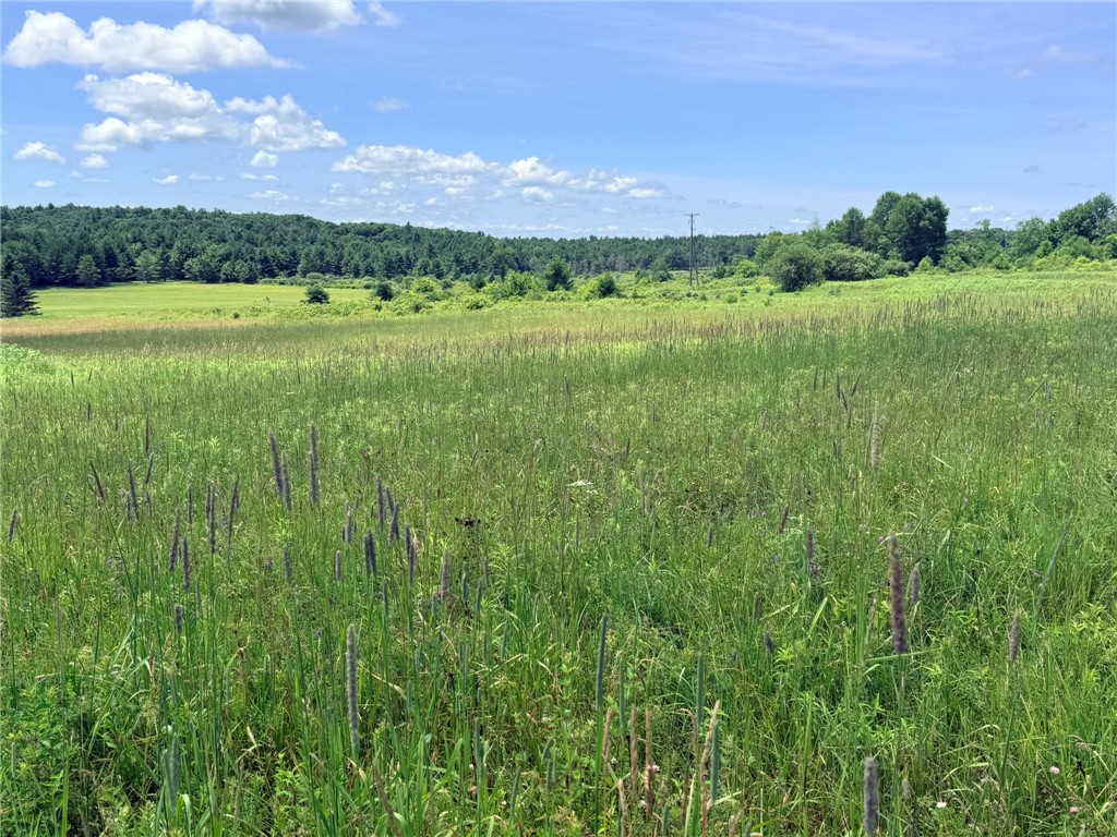 Photo 1 of 1 — L19 N Pond Road, Guilford, NY 13780