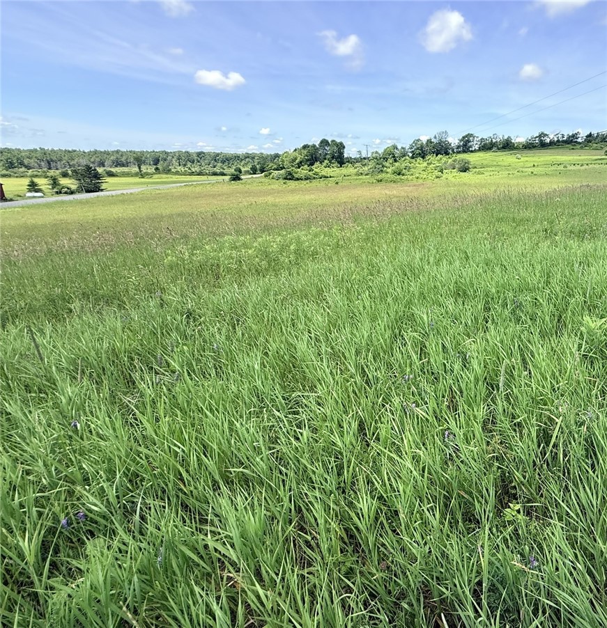 Photo 1 of 1 — L17 N Pond Road, Guilford, NY 13780