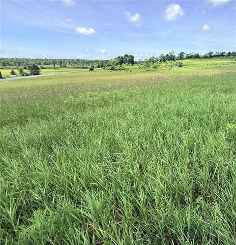 Vacant Land For Sale - L17 N Pond Road<br/> Chenango County, Guilford, NY 13780