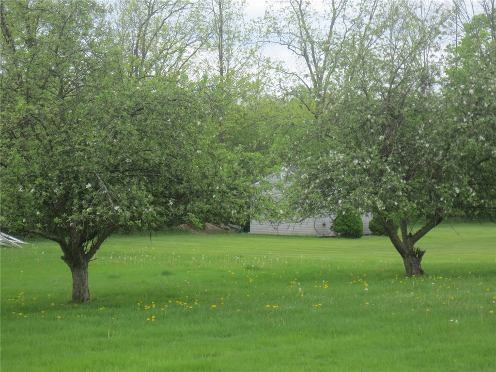 2035 Mills Road, Waterloo, New York image 29