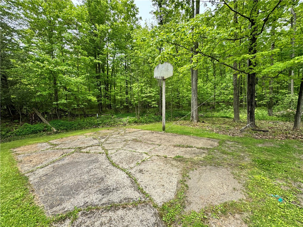 7298 Hardscrabble Road, Addison, New York image 48