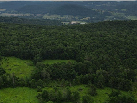 Vacant Land For Sale - LOT 2 Oregon Road<br/> Butternuts, NY 13776