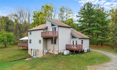7356 Mitchellsville Hill Road Bath NY 14810