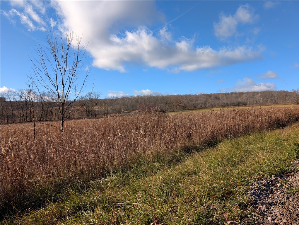 Leonard Road, Troupsburg, New York image 3