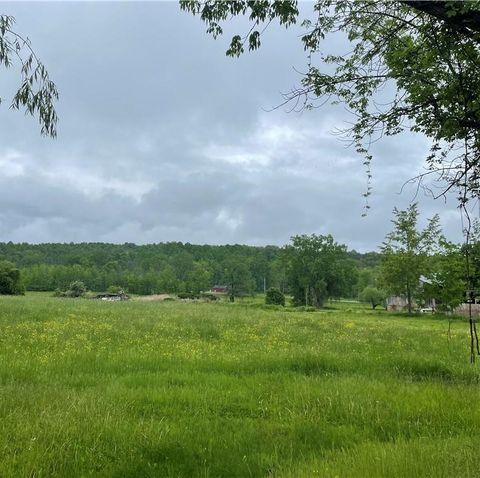 Vacant Land For Sale - Hall Center Road<br/> Marion, NY 14568