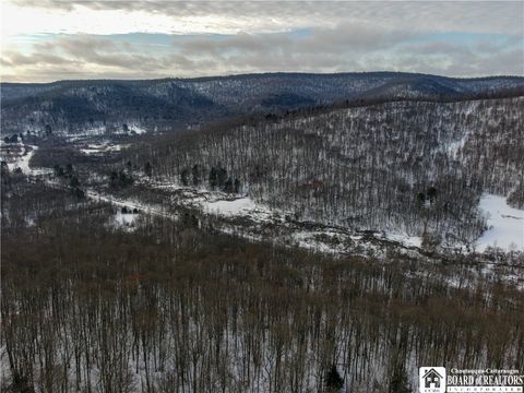 Tiny photo for 469 N Branch Road, Eldred, PA 16731 (MLS # R1655499)