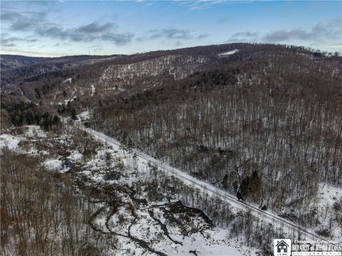 Tiny photo for 469 N Branch Road, Eldred, PA 16731 (MLS # R1655499)