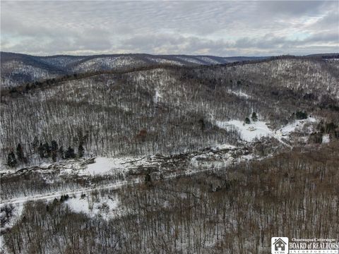 Tiny photo for 469 N Branch Road, Eldred, PA 16731 (MLS # R1655499)