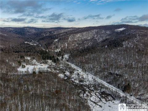 Tiny photo for 469 N Branch Road, Eldred, PA 16731 (MLS # R1655499)