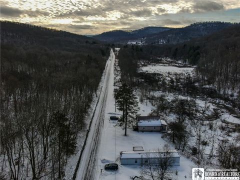 Tiny photo for 469 N Branch Road, Eldred, PA 16731 (MLS # R1655499)