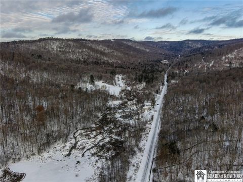 Tiny photo for 469 N Branch Road, Eldred, PA 16731 (MLS # R1655499)