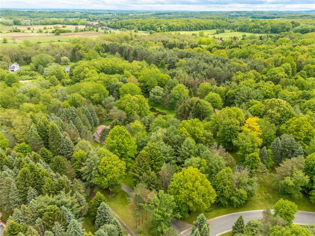 1537 Cranberry Pond Trl, Victor, New York image 50