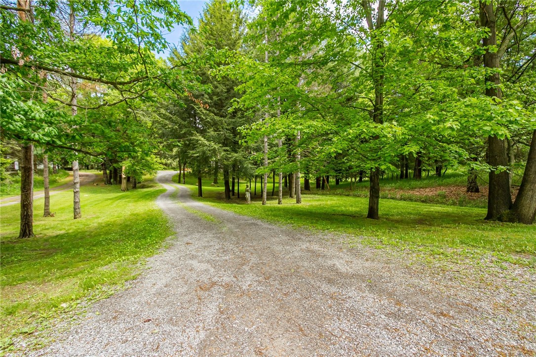 1537 Cranberry Pond Trl, Victor, New York image 6