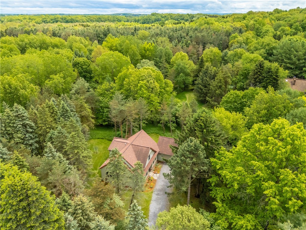 1537 Cranberry Pond Trl, Victor, New York image 48