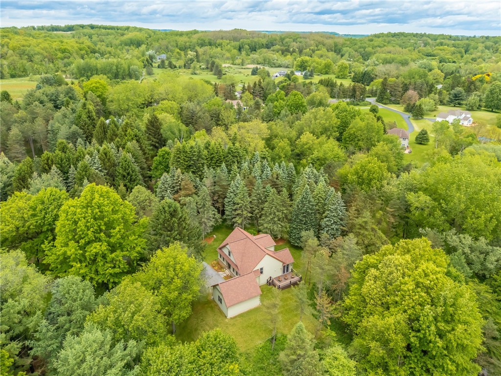 1537 Cranberry Pond Trl, Victor, New York image 45