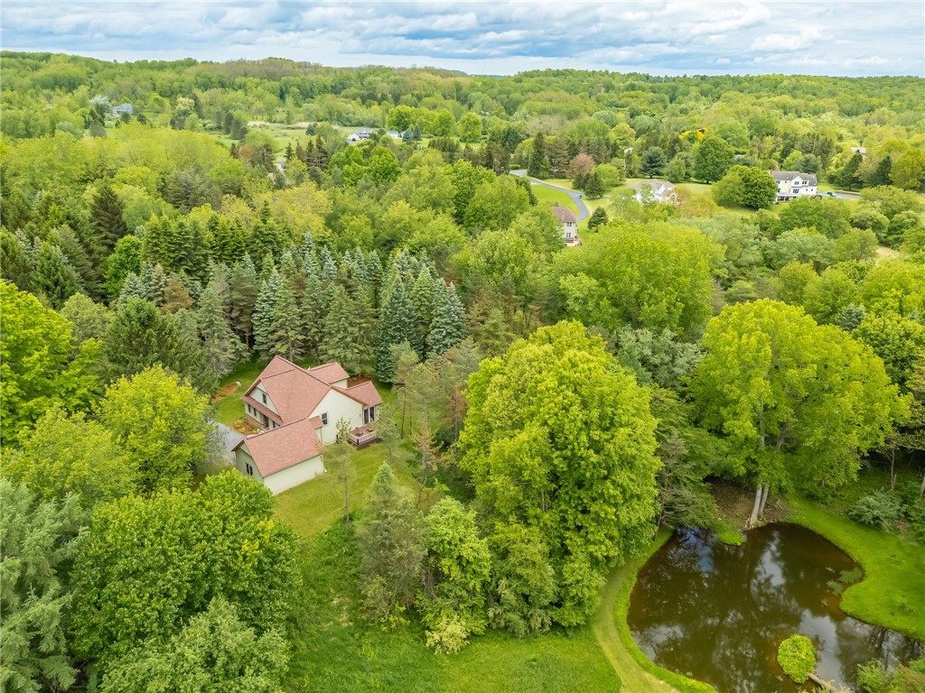 1537 Cranberry Pond Trl, Victor, New York image 46