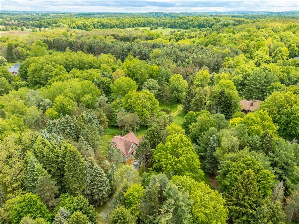 1537 Cranberry Pond Trl, Victor, New York image 47