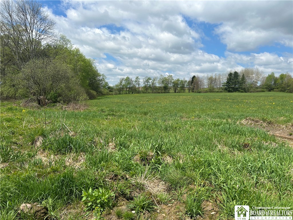 12278 Route 394, Randolph, New York image 22