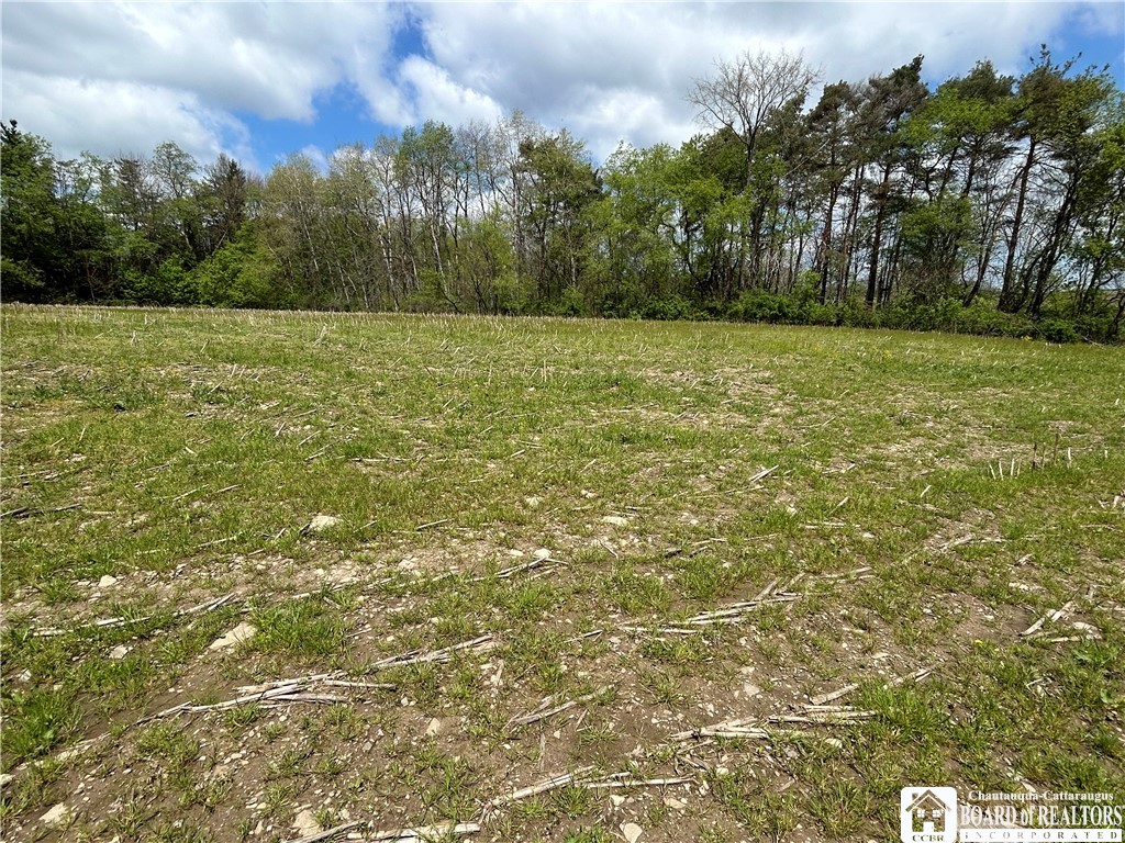12278 Route 394, Randolph, New York image 29
