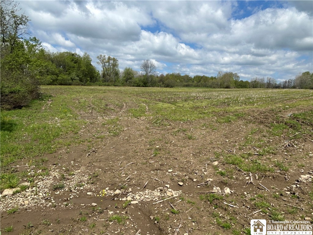 12278 Route 394, Randolph, New York image 20