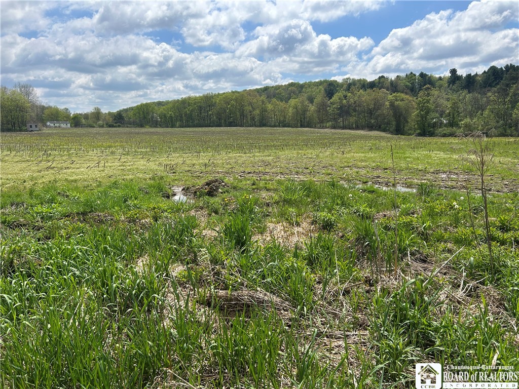 12278 Route 394, Randolph, New York image 26