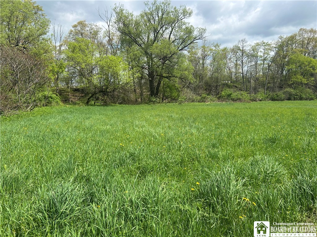 12278 Route 394, Randolph, New York image 14