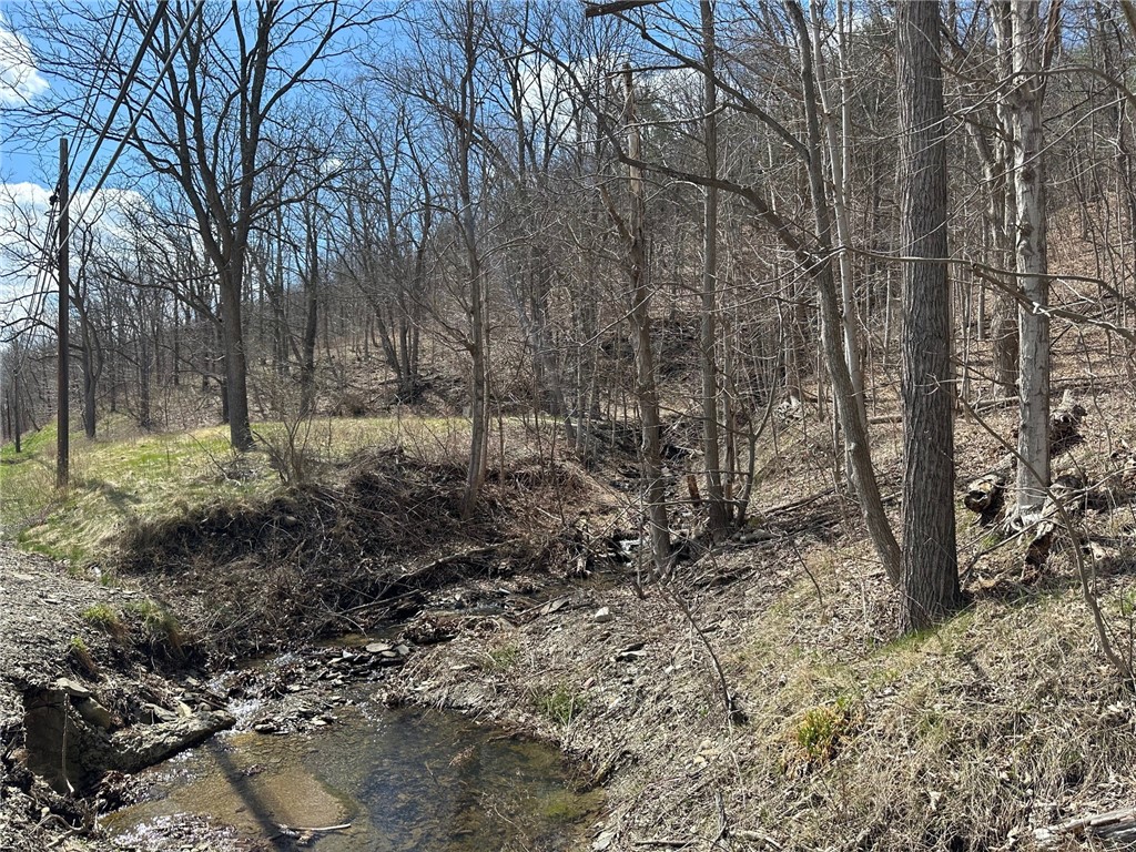 Rt-21, Naples, New York image 3