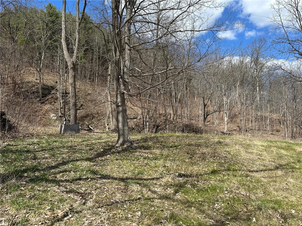 Rt-21, Naples, New York image 2