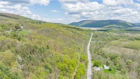 Rt-21 Naples NY 14512