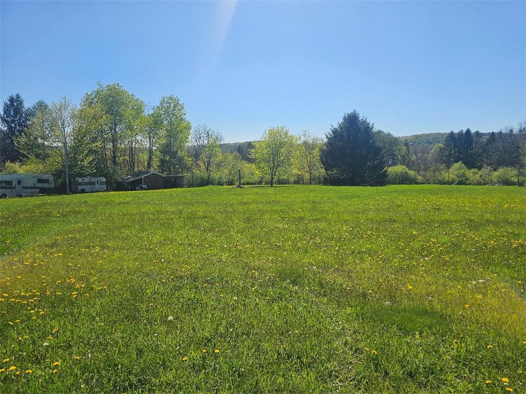 8471 Alpaugh Road, Springwater, New York image 9