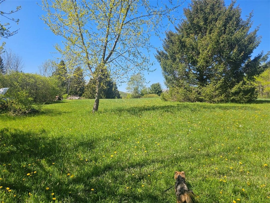 8471 Alpaugh Road, Springwater, New York image 18