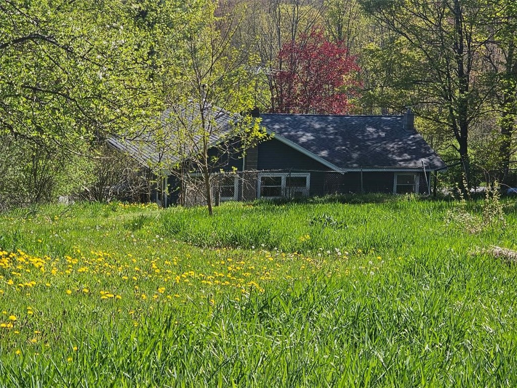 8471 Alpaugh Road, Springwater, New York image 5