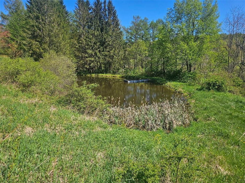 8471 Alpaugh Road, Springwater, New York image 19