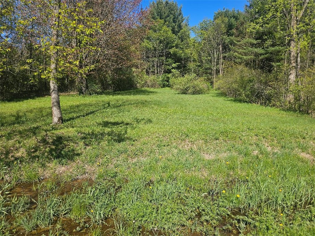 8471 Alpaugh Road, Springwater, New York image 20