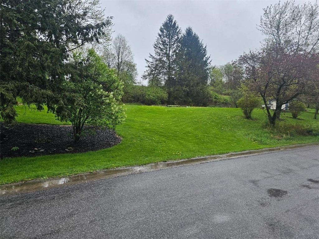 8471 Alpaugh Road, Springwater, New York image 2