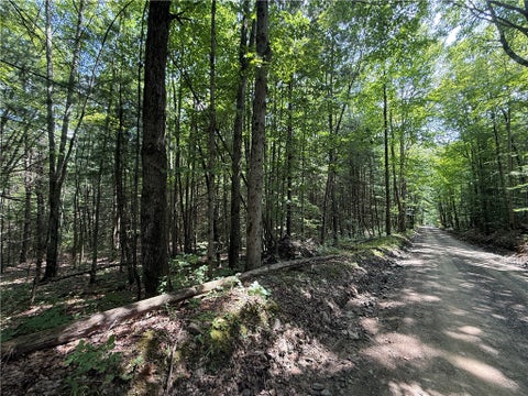 Vacant Land For Sale - W Whitcomb Road<br/> Tioga, NY 13734