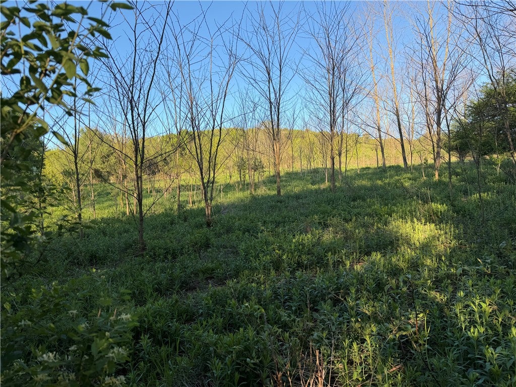 0 County Highway 4 - Photo 2