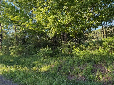 Vacant Land For Sale - County Highway 4<br/> Butternuts, NY 13776