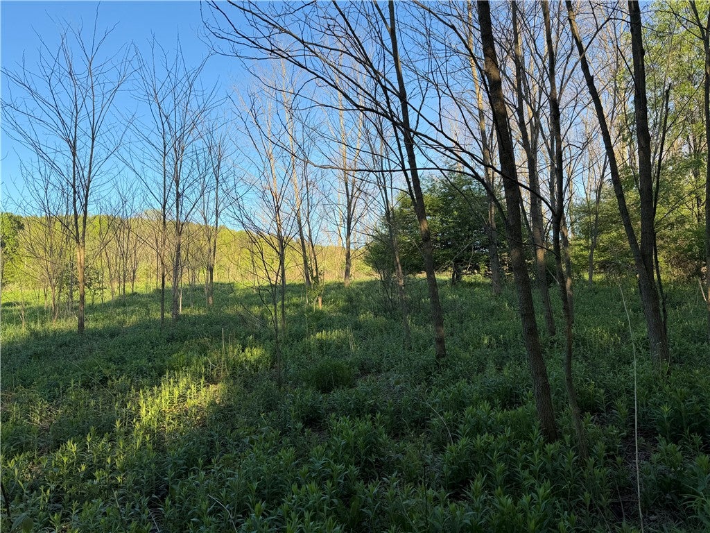 0 County Highway 4 - Photo 3