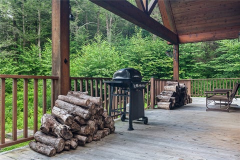 Tiny photo for 130 Deer Run Road, Colchester, NY 13752 (MLS # R1708829)