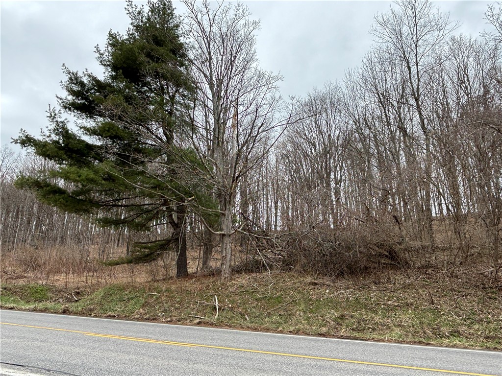 8399 State Highway 7, Maryland, New York image 4