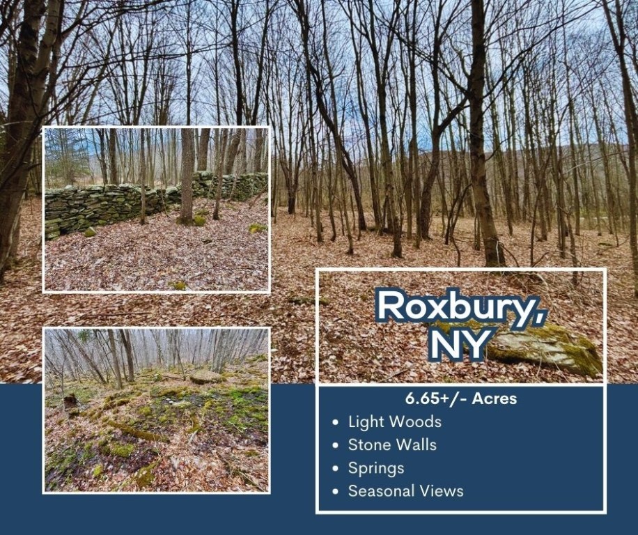 Lot 43 George Lawrence Road, Roxbury, New York image 1