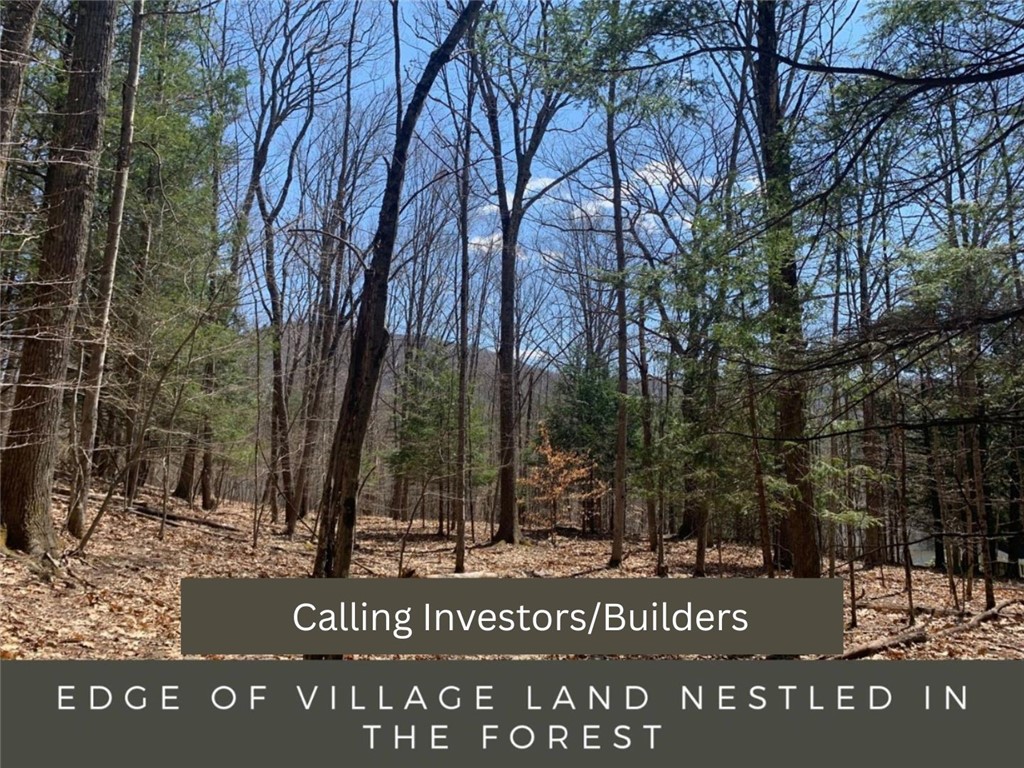 Homes For Sale 1 0 mountain avenue