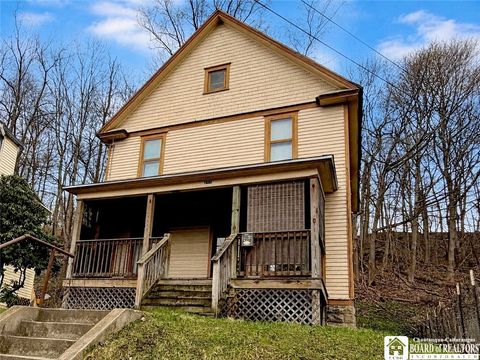 Homes For Sale - 217 Steele Street<br/> Chautauqua County, Jamestown, NY 14701