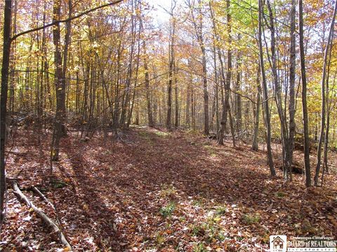 Tiny photo for Gordon Brook, Scio, NY 14880 (MLS # R1648489)