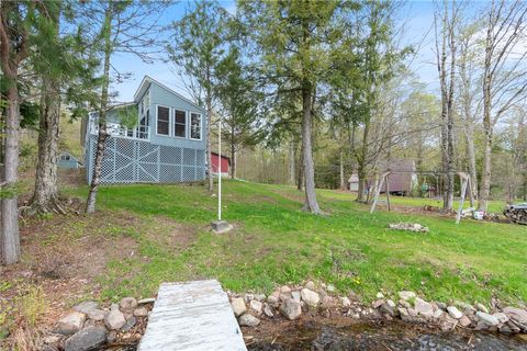 Homes For Sale - 156 Lorton Lake Drive<br/> Orwell, NY 13302
